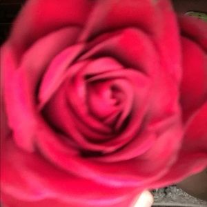 Meet your Posher, Gabi